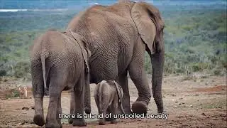 FIKANI 2025 VIDEO OFICIAL DE POTENCIALIDADES NIASSA