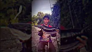 casting toman#angler2006 #angler #casting #mancing #toman #castingtoman #angler2001