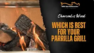 Charcoal vs Wood: Which is Best for Your Parrilla Grill