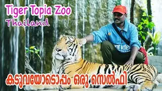  Tiger Topia Zoo | Sriacha Tiger Zoo Pattaya | കടുവയോടൊപ്പം ഒരു സെൽഫി 