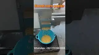 How to easily peel fresh corn kernels？🌽 Sweet corn peeler machine helps you solve the problem!