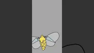 Weedle Evolution