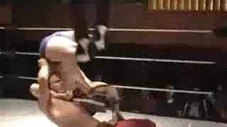 XWA - War of Survival