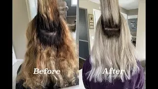 Copper to Silver Grey | Blunt Cut | Color Correction