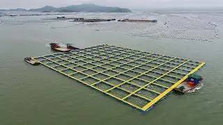 plastic ocean pedal production line|hdpe fish raft net cage pedal machine|pe board extrusion machine