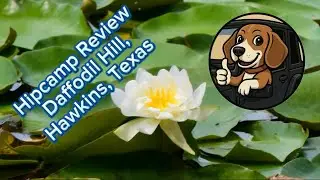 Hipcamp Review: Daffodil Hill in Hawkins, Texas