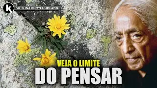Ver o que não é pensamento , KRISHNAMURTI DUBLADO