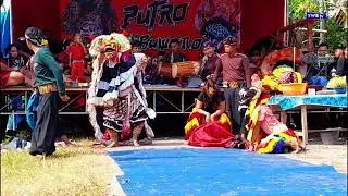 Tari Kucingan Jaranan PUTRO TRIBUWONO Live dusun Banjarejo, Gunungsari Umbulsari Jember 2023