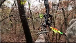 ARK Public land bowhunting from the ground