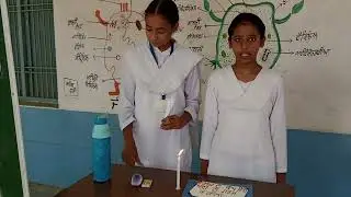 Science activities low cost: ignition temperature 