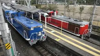 【DL大樹運行開始！SL大樹と行き違い】東武鬼怒川線 SL大樹5号 C11-207+14系+DE10-1109・DL大樹4号 DE10-1099+14系・東武100系105F 大桑着発・通過 【4K】