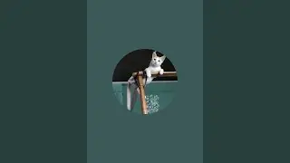 Minni Channel is live