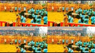 🔥🔥KUMARAPALAYAM JALLIKATTU🔥🔥