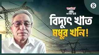 কারা ভিড় করেছে মধু খাওয়ার জন্য? | Bangladesh Power Sector | The Business Standard