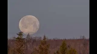 Full Moon 🌕 Setting at Dawn 🌄 in Eustis 🏔 Maine 🌲 on Easter Sunday, April 17, 2022