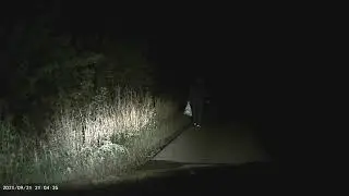 MOV00395