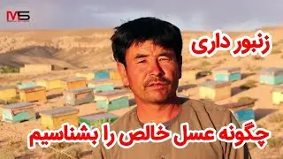 زنبور داری در جاغوری، #چگونه عسل خالص را بشناسیم؟