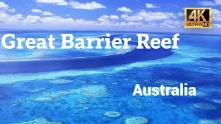 Great Barrier Reef | UNESCO World Heritage Site | 4K HD Australia Travel Guide