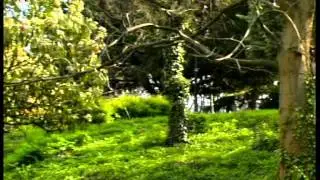 Стефан Георгиев- Пешаковска ръченица