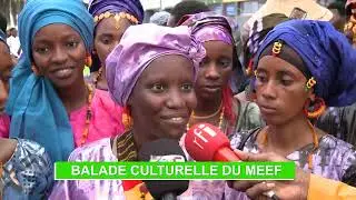 BALADE CULTURELLE DU MEEF