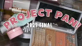 “Lo que terminé vs lo que fracase | Resultados FINALES del PROJECT PAN 2025 💄”