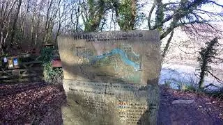 Autumn in Kilminorth Woods, Looe, Cornwall
