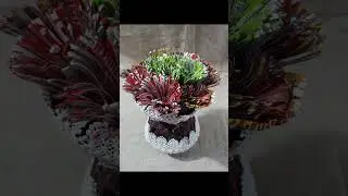 Top 5 Beautiful Flower Vase Make With Waste Plastic Bottle.#youtubeshorts !#shortvideo #shortsviral