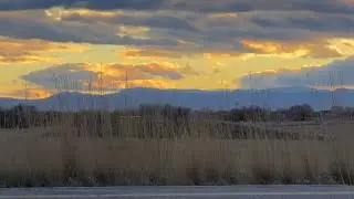 Total relaxation, sleep, soothing Colorado Rocky Mountain winter with birds singing 