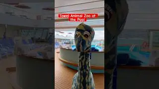 They Turned the Pool Deck Into a Towel Animal Zoo | Carnival Radiance Cruise #travel #cruise