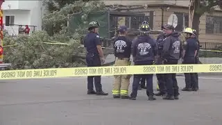 San Diego family mourns after falling tree kills man, accuses city of ignoring safety concerns