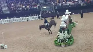 Harry Whall Quality Old Joker Winning Puissance round Liverpool ''19