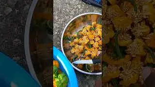 #2023 Steven pepper seed for future growth #outdoor #jamaica #garden #harvest