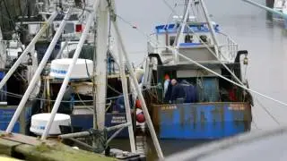 The EU - A Fishing Case Study