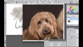 Photo Art - Painting Fur