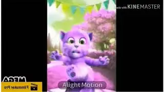 Talking Ginger Music Rap Effects in G Major 16 (Alight Motion Edition)