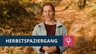 Herbstspaziergang (Impuls auf Südtirolerisch)
