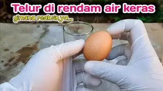 EKSPERIMEN TELUR DI RENDAM AIR KERAS - Apakah akan hancur