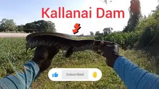 Fishing near Kallanai Dam and few more spots
