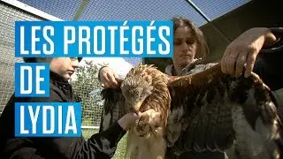 Protection de la faune sauvage poitevine : bienvenue chez Lydia