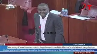 DRAMA AS SENATOR MALALA CRY BITTERLY IN SENATE SECURITY COMMITTEE!RAILA VS MALALA MESSY DIVORCE!!