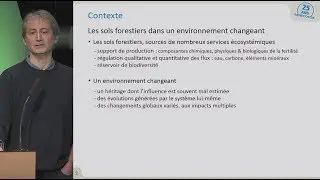 Acidification et eutrophisation quel impact sur la fertilit&eacute; des sols forestiers ?