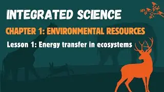 integrated science | Sec 1 | chapter 1 | Lesson 1: energy transfer in ecosystems