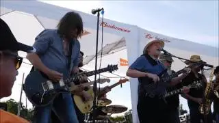 Fran Sheehan  - Gimme Some Lovin'