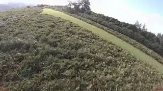 Moorland madness with Jab1a and DougC