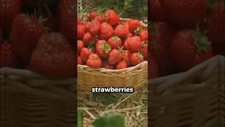 TOP 10 Fruits With Superpowers You Need to Try! #health #wellness #healthtips