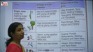 Class 4 EVS Chapter 9 Agriculture  9Oct21