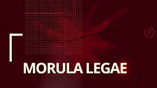Morula Legae
