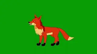 Fox Green Screen | #cartoon #Animal #greenscreen | #freegreenscreen | #copyrightfree | @ravidass01