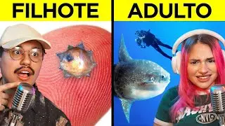 Os filhotes mais estranhos do planeta