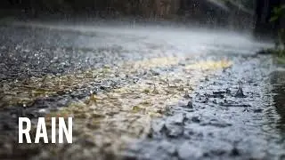Rain Sound Effect - Rain Sounds _ No copyright sound Effect 2025